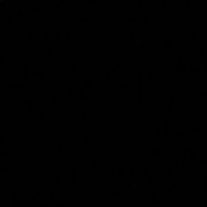 Meet your Posher, Raven